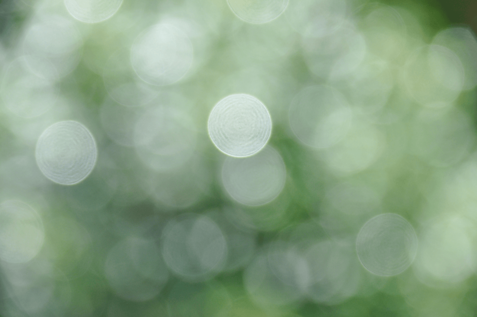 mike-castro-demaria-vEnB66L4cnQ-unsplash